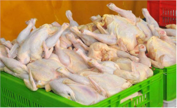 افزایش سهمیه مرغ و گوشت مناطق سیل زده